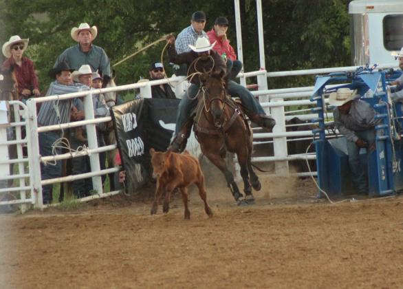 Jarvis Demery of Beggs competes in the Tie Down Roping event of the 79th Annual Maud Roundup Rodeo on July 19. He got 11.6 seconds in his first try, and 9.8 seconds in his second try.