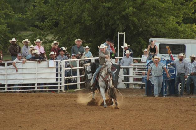 Ryland Jones of Ada catches his calf in the Tie Down Roping event of the 79th Annual Maud Roundup Rodeo on July 19.