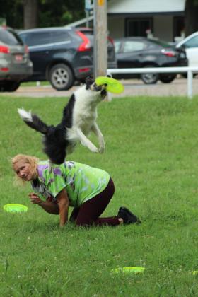 Suzie Q catches a frisbee after bouncing off the back of Jamee Salley during the Tornado Alley Disc Dogs program hosted by Shawnee Public Library at Boy Scout Park on July 12. There were four dogs performing that day, and co-owner Jeff Savage spoke about how to train dogs. Visit pioneerlibrarysystem.org to see upcoming events.