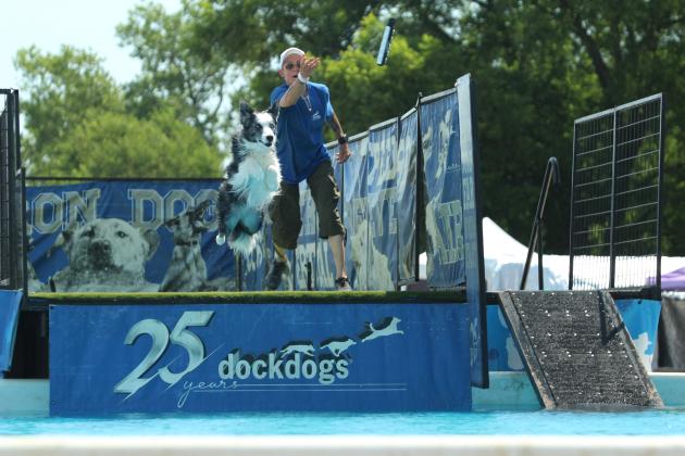 Rada O'Reilly, an Australian Shepherd, focuses on the toy thrown by her owner Crystal Richardson of Shawnee, before splashing down in a pool, during the DockDogs® competition on Aug. 9. Rada soared 17-feet, five inches for this round and placed second in her division. Richardson trains Rada at Oklahoma Thunder Dock Diving in Purcell and was their one client from Pottawatomie County participating in the event.