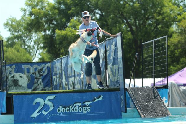 Sophie the German Shepherd grabs a toy out of the air before splashing into a pool, as her owner Emily Paulk watches, during the DockDogs® competition on Aug. 9 at the FireLake Fireflight Balloon Festival. Sophie jumped 14-feet, 9 inches in this round. This was the first year for the national organization to participate in the festival.