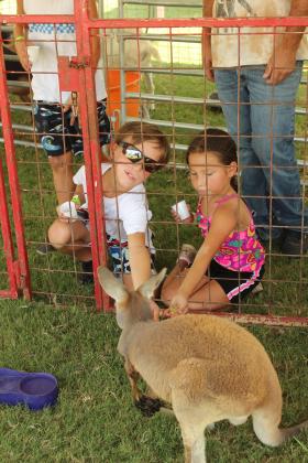 Lucian Collins, 9, and Rowen Collins, 5, both of Shawnee, offer feed to Ruby Doo the Kangaroo at the Petting Zoo during the FireLake Fireflight Balloon Festival on Aug. 9. The petting zoo was free and also included tortoises, goats, and Gary the Goose, and it traveled from Adair with the Camels Unlimited camel rides, said zookeeper Natalee Sharp.
