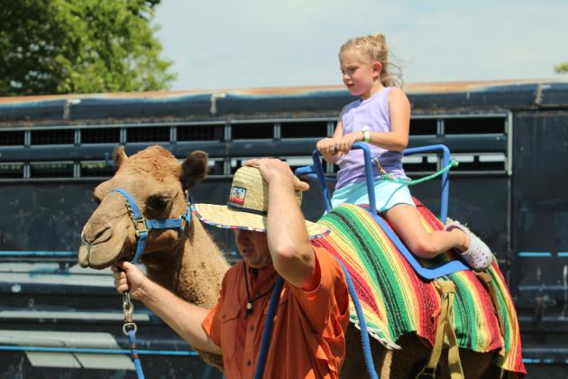 Camels Unlimited Rides