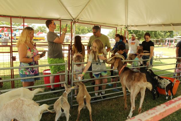 Petting Zoo