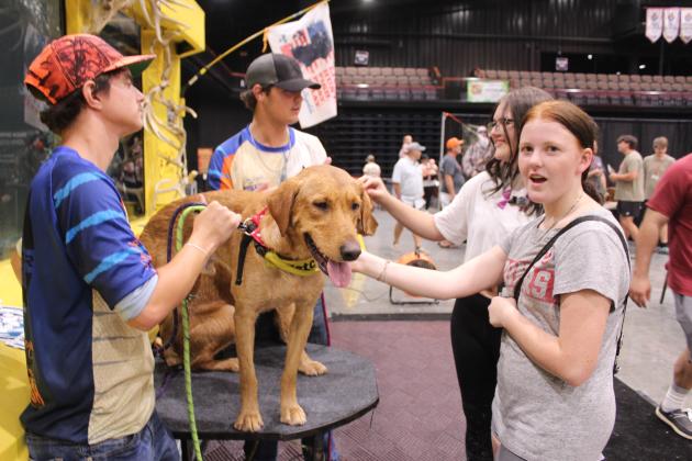 Fetch n' Fish Dog Show