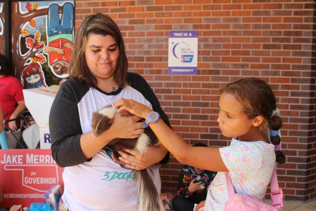 Jacee Schwab, 9, of Bethel, pets Igor, the four-month-old skunk, held by owner Jolean Young before the Frontier Days Pet Show. Igor won the "Most Unusual" category. Second place went to Sakura, the Shikoku Ken Japanese dog, owned by A.J. Floyd of OKC.