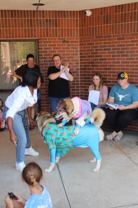 Two of the wolf dogs owned by A.J. Floyd of OKC perform a trick in which one jumps over the other during the Frontier Days Pet Show on Sept. 27. Floyd brought four wolf dogs and one Shikoku Ken Japanese dog to compete in the contest.