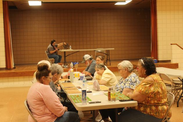 Bingo with Project HEART in the "Silver Saloon"