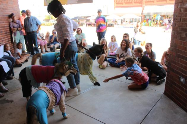 Pet Show - AJ Floyd's Wolf Dogs