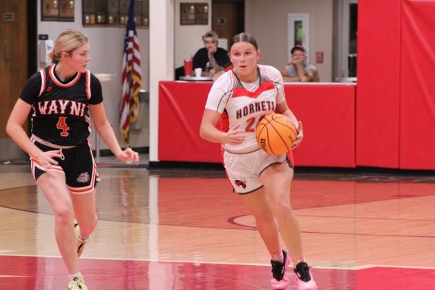 Macomb's Cassi Johnson keeps her eyes on the goal as she brings the ball upcourt during the Nov. 18 home game against Wayne. The Lady Hornets lost 44-49.
