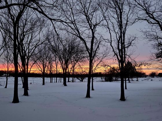 Snowy sunset