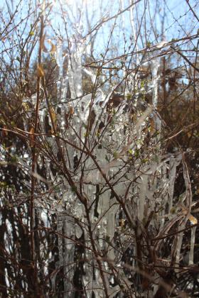 Icicles