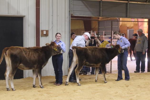 Madison Taron and her sister Addison Taron show their Jerseys in the Dairy Cattle division, as Tecumseh FFA Advisor Ray Pell looks over Addison's cow, during the Tecumseh FFA &amp; 4-H Booster Club Local Livestock Show at the THS barn on Jan. 18. A. Taron won the division.