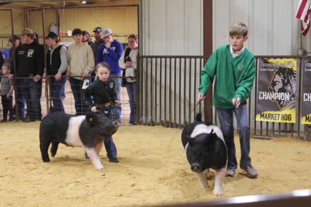Tecumseh third-grader Annie Raper and fellow 4-H member Luke Benge show their Hampshire pigs during the Tecumseh FFA &amp; 4-H Booster Club Local Livestock Show on Jan. 18.