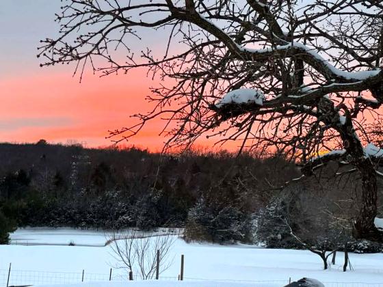 Vonda Bryce sent in this snowy sunset photo from Bethel Acres.