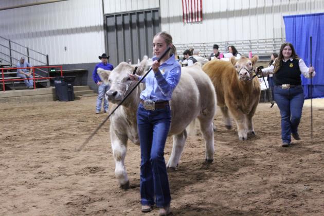 Katie Haysmer and Olivia Rawlins lead their steers out of the show ring after competing in the Pottawatomie County Junior Livestock Show Beef Show on Feb. 25.