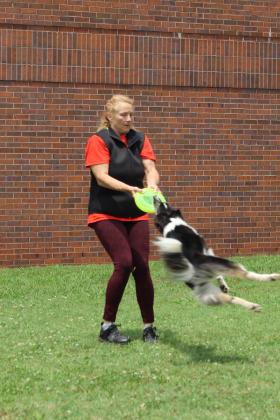 Jamee Salley flies Suzie Q around during the Tornado Alley Disc Dogs performance at Tecumseh Public Library, June 7.
