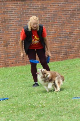 Jamee Salley throws a Frisbee for Miss Diva the Mini Australian Shepherd during the Tornado Alley Disc Dogs performance at Tecumseh Public Library, June 7. When asked how they keep the dogs from overheating, Salley said they only perform for two minutes during shows, keep water available, and they have a dog pool at home in Blanchard.