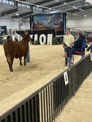 Taycie Baker and Madalyn Taron compete in Sales Talk. Photo provided.