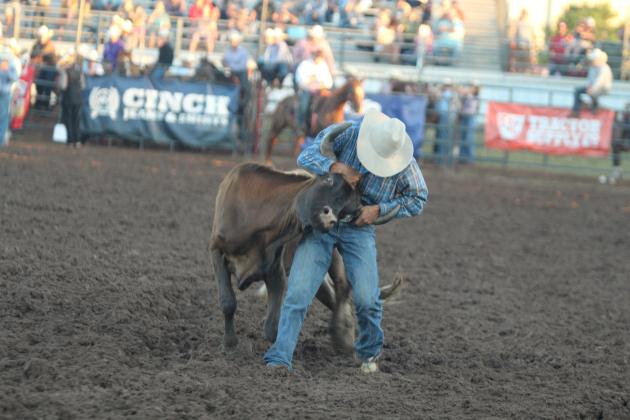 Preston Rodriguez of Clayton, MI, works on taking down a steer in the steer wrestling event of the IFYR on opening night, July 12.