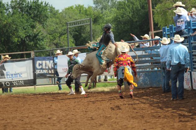 Briggs Cooley of Lafayette, LA, emerges from the chute during the bull riding event of the International Finals Youth Rodeo on the morning of July 13.