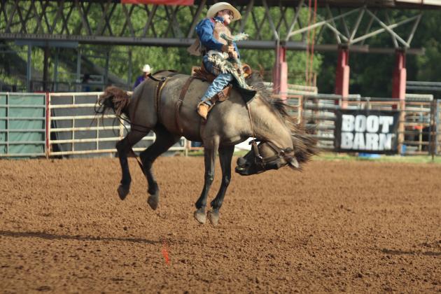 Wyatt Martin of Dexter, KS, holds onto the reins in the saddle bronc event of the International Finals Youth Rodeo on the morning of July 14.