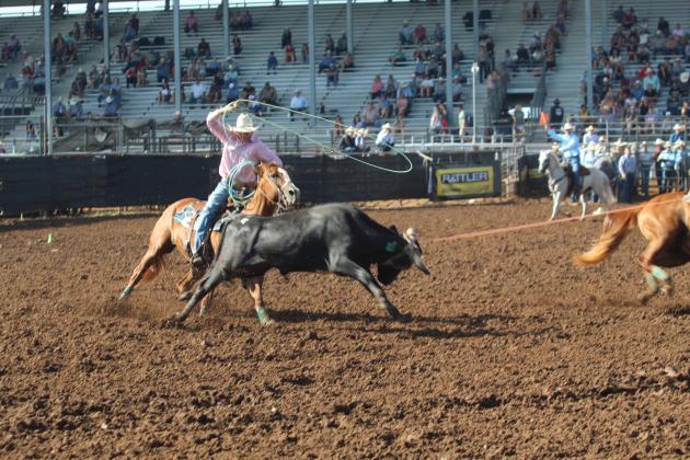 Phoenix Rawls of Tecumseh aims his lasso at the back legs of a steer, after Paden Rawls of Wewoka roped the horns, during the IFYR on the morning of July 16. They placed 10th in the final team roping standings.