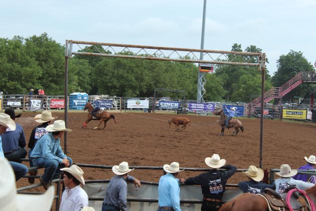 Contestants watch the team roping event and wait for their turns during the IFYR on the morning of July 17.