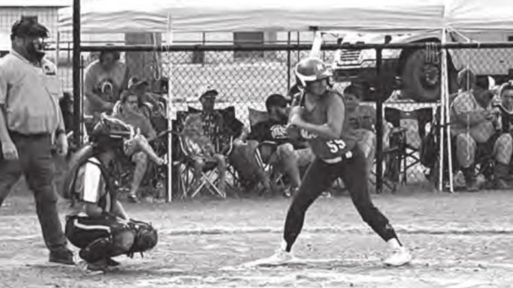 Macomb Lady Hornets Win Districts