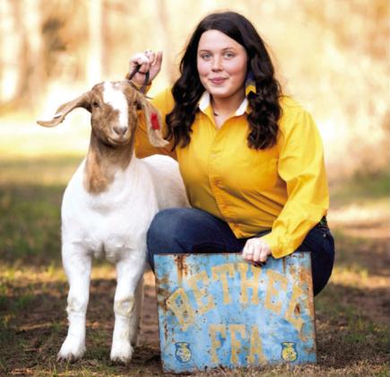 Paisley Sturgill of Bethel poses with one of her seven goats in her 2020-21 senior pictures. Sturgill’s SAE was in goat production in high school. Now a senior at OSU, she recently received her American FFA Degree. Photo provided.