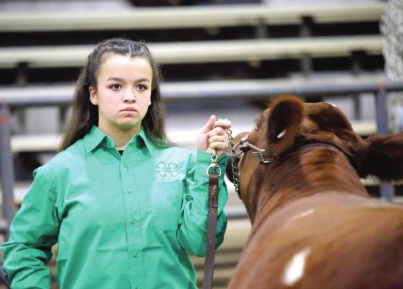 MaKenzie Sullivan, Bethel 4-H, Photo provided.