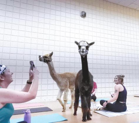 PPLS Hosts Animal Yoga