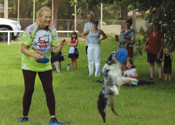 Miss Demeanor catches a frisbee during the Shawnee Public Library Summer Learning Challenge program at Boy Scout Park on July 12. Tornado Alley Disc Dogs brought four dogs to perform that day, and co-owner Jeff Savage spoke about how to train dogs.