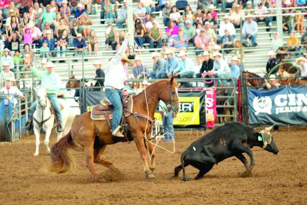 KJ Perkins of Lonegrove, OK, tries to heel when the steer decides to squat in team roping during the IFYR on the evening of July 16.