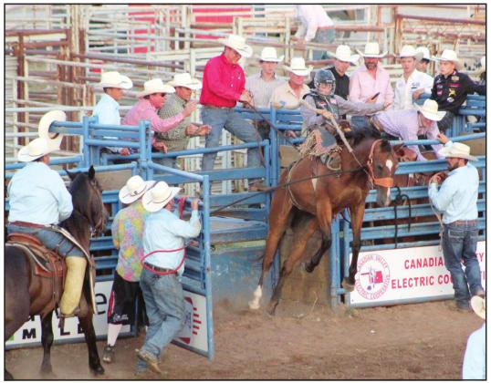Waylon Mitchell, of Trenton, FL, busts out of the chute in the finals of the IFYR Saddle Bronc Riding event on July 15 at the Heart of Oklahoma Expo Center in Shawnee. IFYR Board Chair Randy Gilbert said they had about 68 fewer contestants this year due to increased travel expenses, with some choosing to go straight to the National High School Finals Rodeo in Wyoming. However, the 30-year-old rodeo still attracted 965 entries from 32 states. Countywide &amp; Sun/Natasha Dunagan