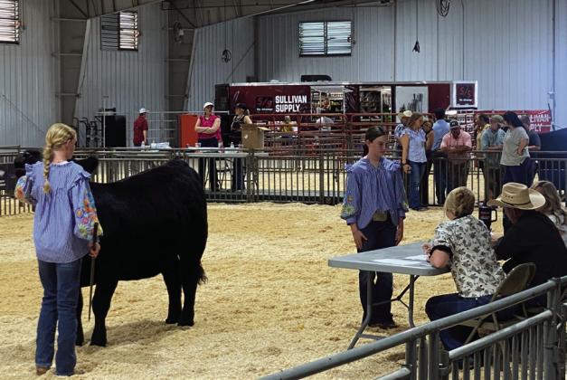 On June 7, Callie Loman, left, assists Taycie Baker, both of Bethel, in the Oklahoma Junior Cattleman's Association Preview Show Junior Sales Talk competition. Callie showed Baker's Limousin heifer, and Baker acted like she was selling the cow to the judges. They placed fourth. Photo provided by Suzanne Gilbert