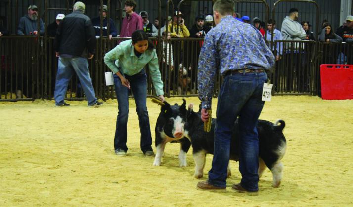McKenzie Brummett, of Macomb FFA, and J.W. Harris, of Paul’s Valley FFA, show in the Class 3 Market Hog Berkshire division of the Central Area Livestock Show. Brummett won the class.
