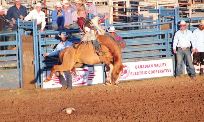 Clay Hibler, of Wheeler, TX, competes in the Bareback Bronc event of the IFYR on July 10 at the Heart of Oklahoma Expo Center. The IFYR marks its 30th year with 965 entries from 32 states. Photos by Countywide &amp; Sun, Natasha Dunagan