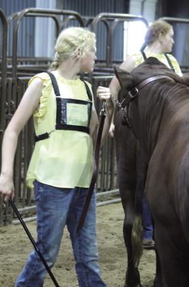 Callie and Grace Loman of Bethel show their Santa Gertrudis heifers during the Pottawatomie County Free Fair Beef Show on Sept. 5. Callie's heifer was champion in Class 4, and Grace's heifer was reserve.