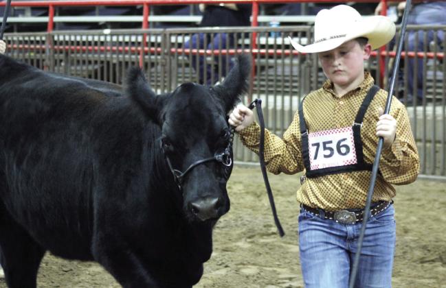 Boone Gray of North Rock Creek 4-H leads his Maine heifer during the Pottawatomie County Free Fair Beef Show on Sept. 5.