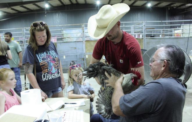 Russel Ramsey of Macomb hands a rooster to Derrell Fowler of Tecumseh so he can perform a blood test for pullorum disease during the Pottawatomie County Free Fair on Sept. 4. Every chicken at the fair was tested for this highly contagious disease. Fowler said he has been a state certified tester and exhibitor for about 40 years.