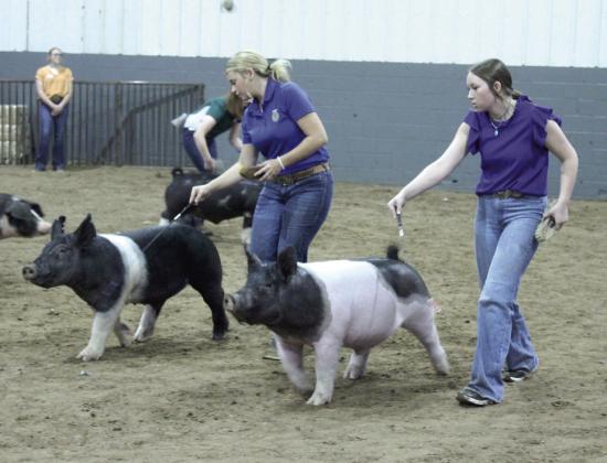 Right: Austyn Wood of McLoud and Harley Harbison of Tecumseh show their Crossbred pigs. Harbison placed first in their class, and Wood placed second.