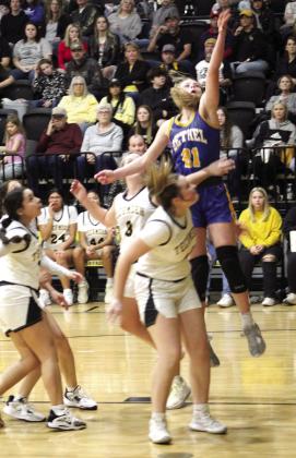 Bethel’s Josie Megehee scores two points in the second quarter of the game at Tecumseh on Feb. 3. The Lady Savages lost, 42-56. Countywide &amp;amp; Sun/Natasha Dunagan