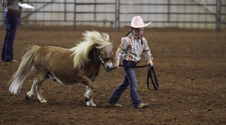 Everly Faith Pudgett leads her miniature horse in the Small Ponies (under 52-inch) of the Pottawatomie County Free Fair Horse Show on Sept. 5. Keelie Utter took first place in this division. Countywide &amp; Sun/Natasha Dunagan