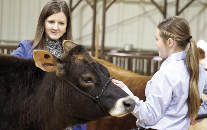 Tecumseh Livestock Show Judge Cara Comstock, an agriculture teacher at Oklahoma Union, gets a closer look at Madison Taron’s dairy cow.