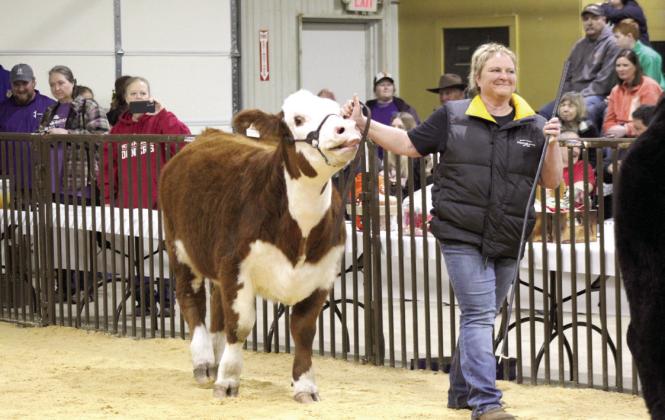 Sara McGaha participates in the Adult Showmanship part of the show.