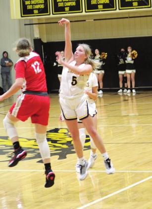 Tecumseh Opens Basketball Season At Home With Wins Over NRC