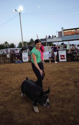 Jacee Townsend of Tecumseh FFA exhibits her Berkshire pig, winning third in her class.