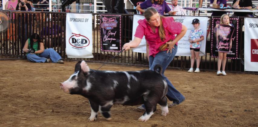 Hailee Townsend of Tecumseh participates in the Intermediate Showmanship division of the T-Town Showdown on Aug. 22 at the Tecumseh Roundup Club.
