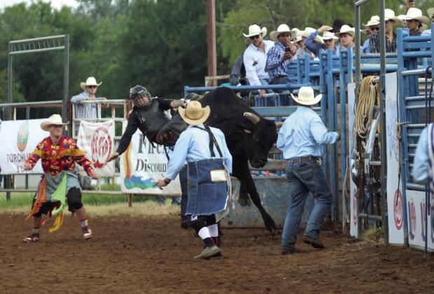 Colton Johnson of Shawnee hangs on in the bull riding event of the International Finals Youth Rodeo on the morning of July 13.